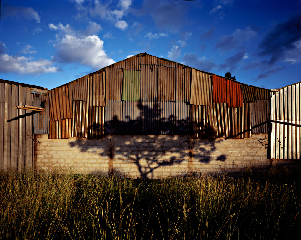 o-jardim-sombra-pedro-david