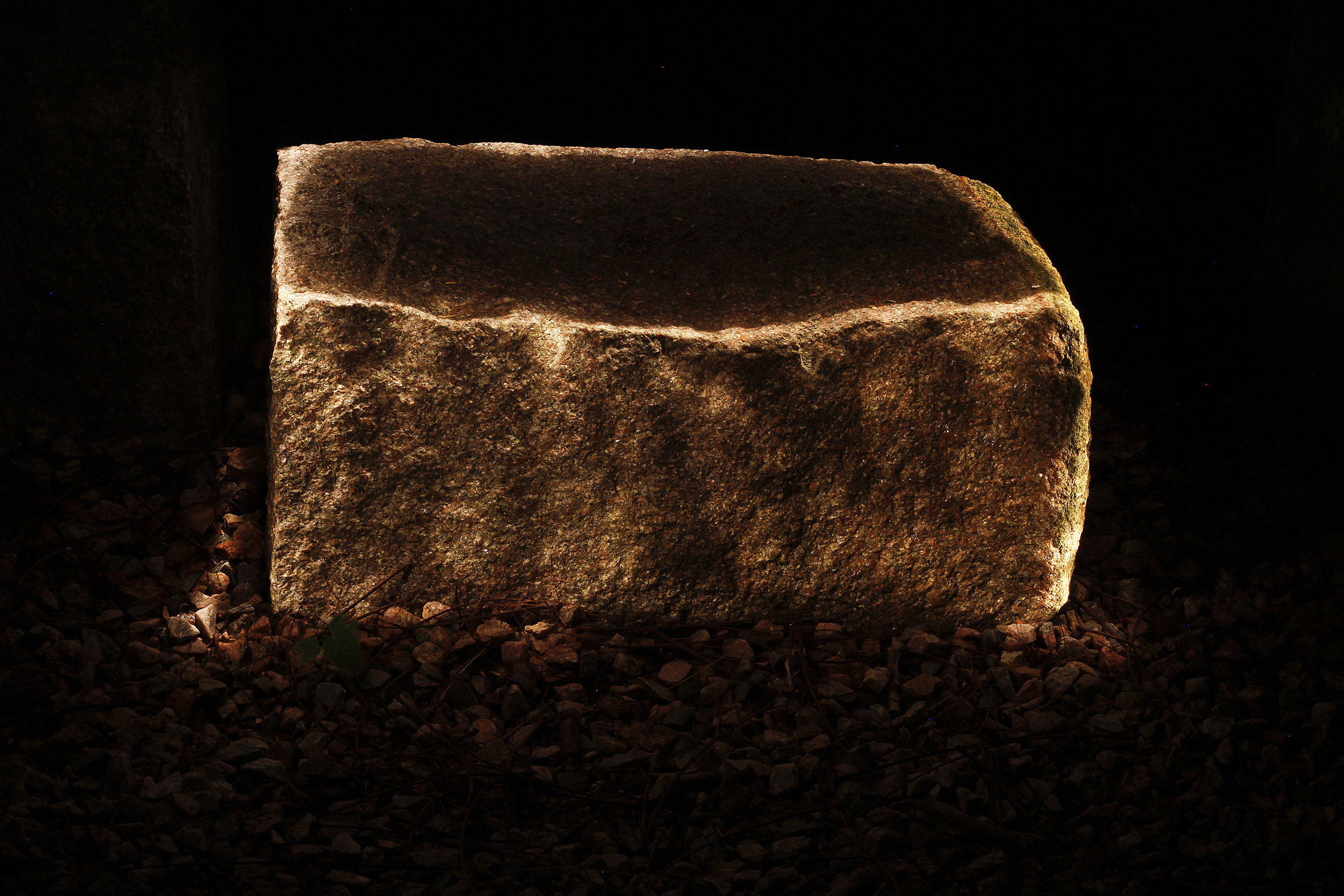 Murmuro_Luana Navarro